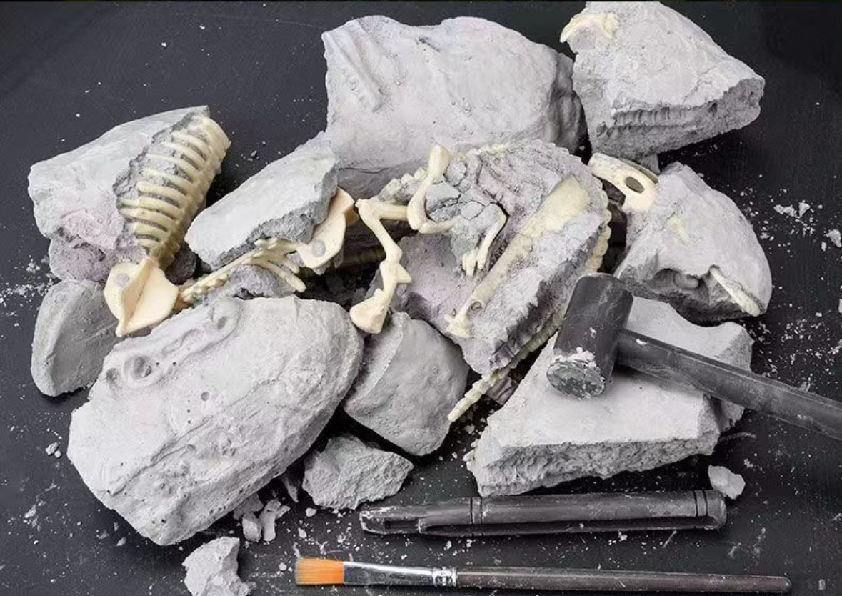 探秘古生物化石挖掘